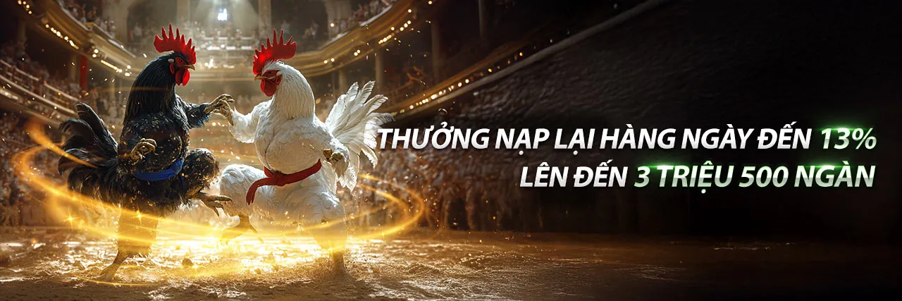 Sân đấu đá gà trực tuyến sôi động tại AE3888